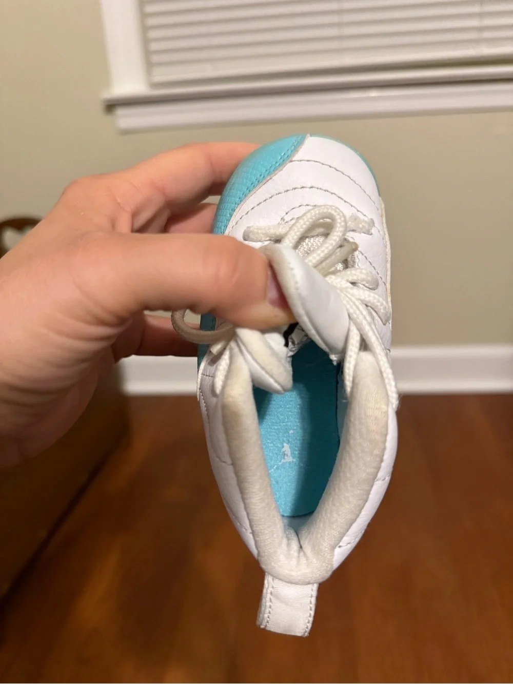 Air Jordan 12 Retro TD 